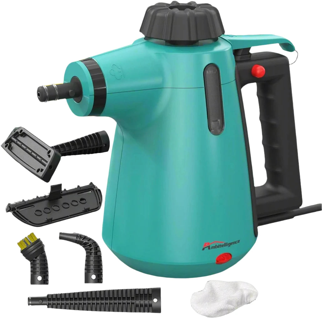 Portable Natural Steam Cleaner