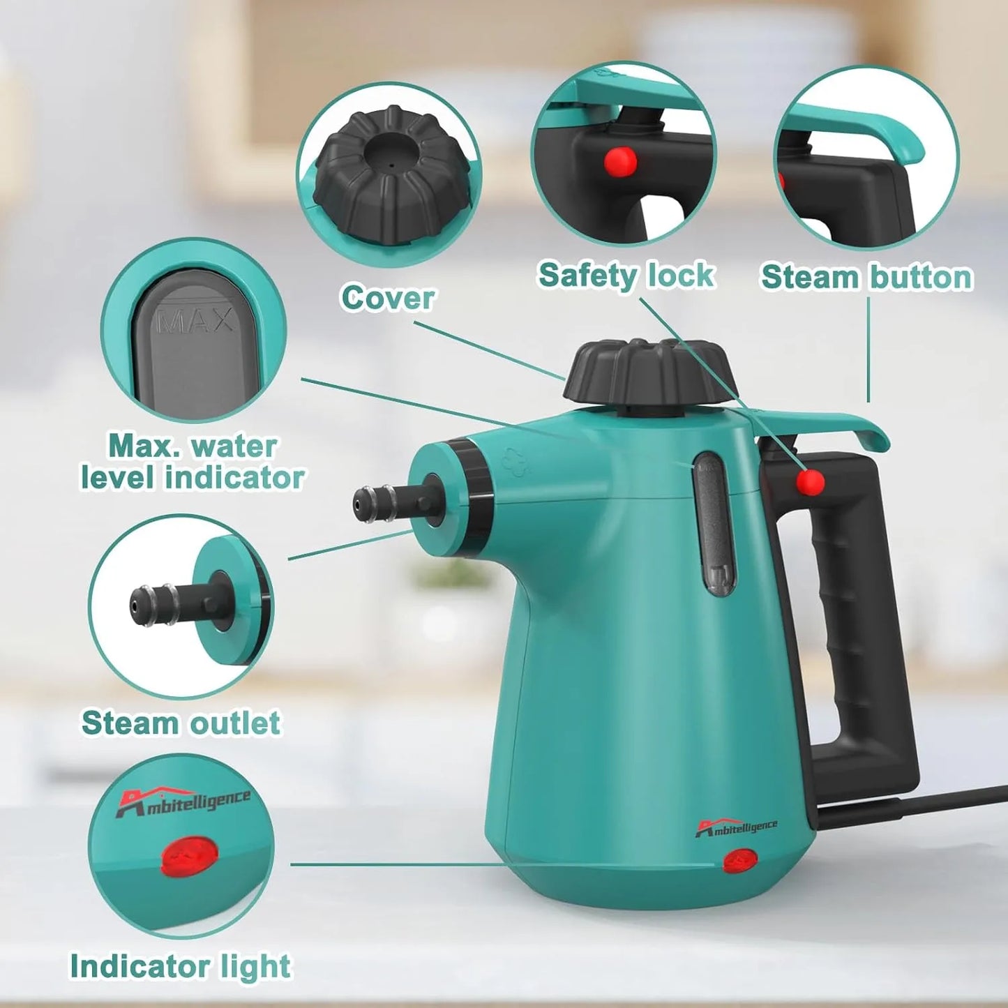 Portable Natural Steam Cleaner